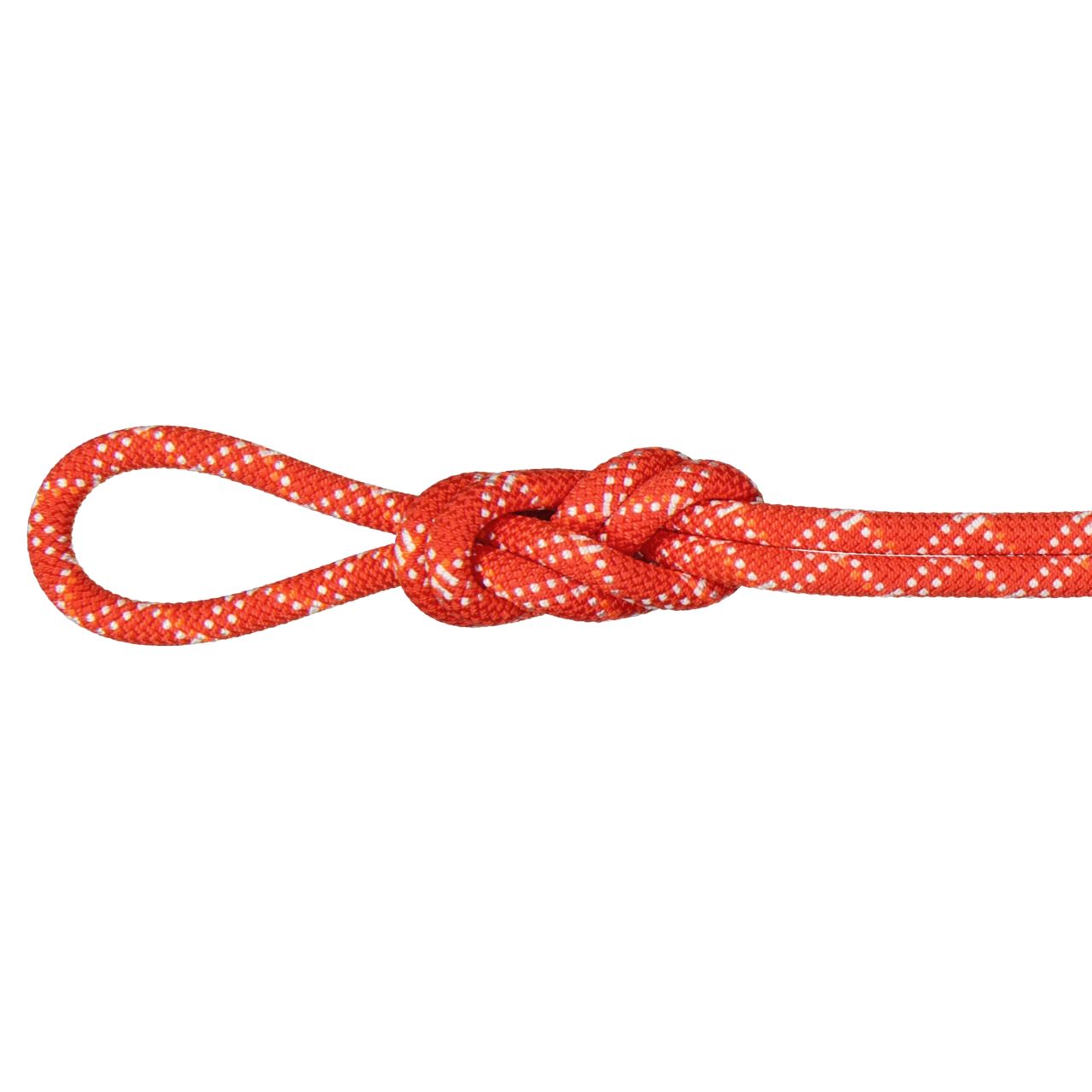 9.5 Gym Classic Rope Mammut 9.5 Gym Classic Rope -Tramptilt-shop 2010 04260 01286 main grey 205801 rsz 44224.1658268324