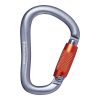 Black Diamond RockLock Twistlock Carabiner 2 Black Diamond RockLock Twistlock Carabiner -Tramptilt-shop 210258 1003 rocklocktwistlockcarabiner gray 18052.1626823099