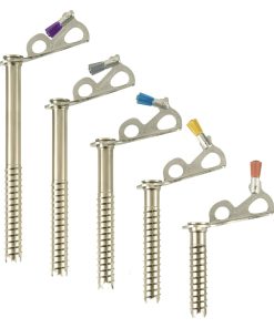 Black Diamond Express Ice Screws