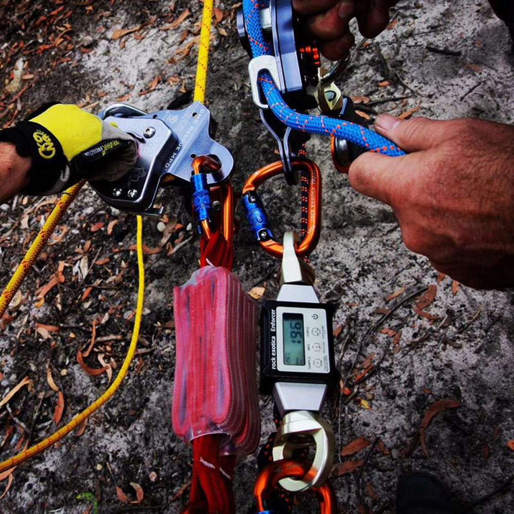 enForcer Rock Exotica EnForcer -Tramptilt-shop iu2 07182.1651690703