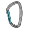 Petzl Djinn - Straight Gate 1 Petzl Djinn - Straight Gate -Tramptilt-shop m060aa00 djinn droit lowres 09040.1626822669