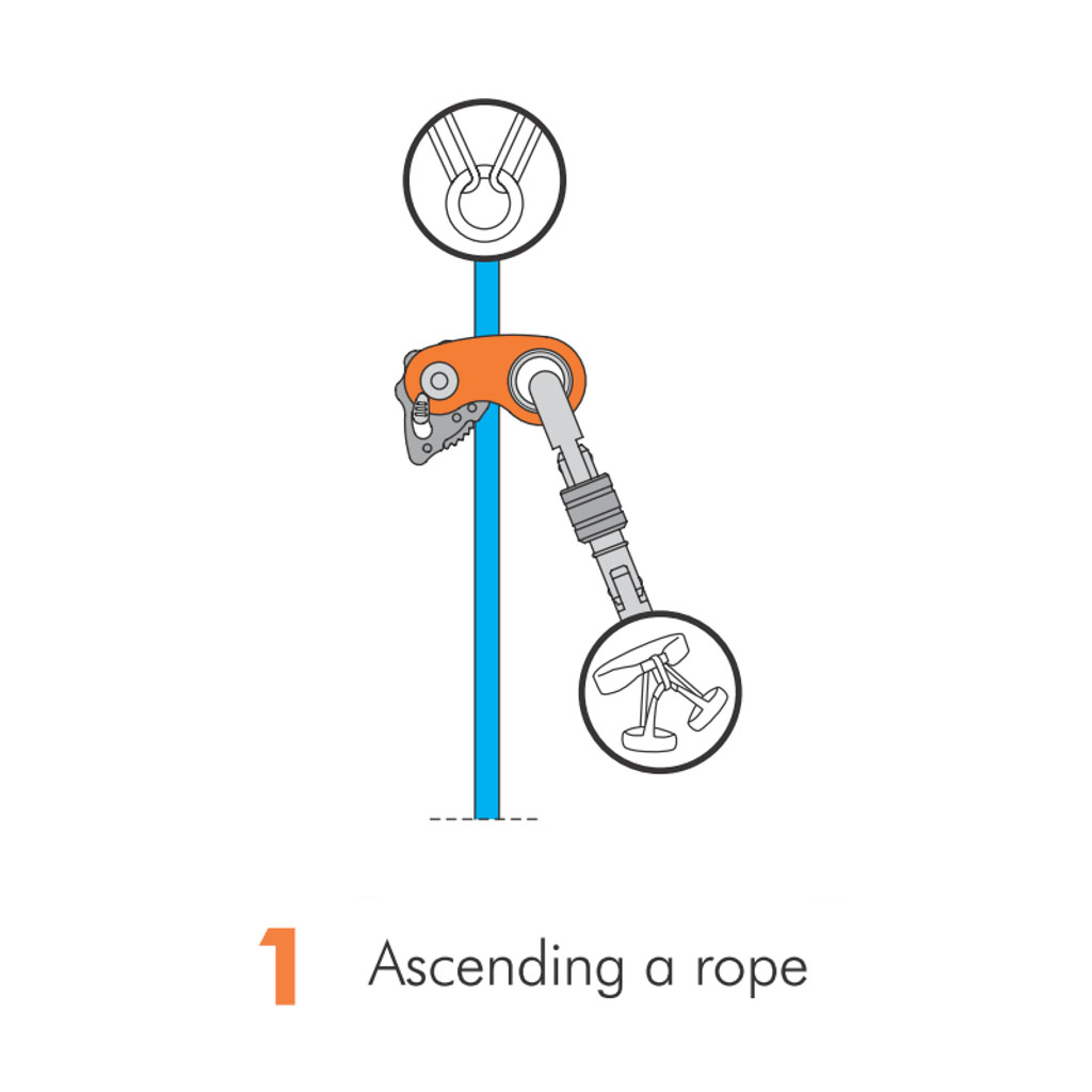 RollNLock Ascender/Pulley Climbing Technology RollNLock Ascender/Pulley -Tramptilt-shop rollnlock 2d652 en 1 51585.1626822413